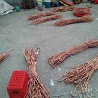 废铜回收公司价格从优